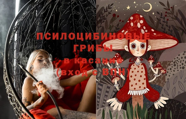 шишки Алзамай