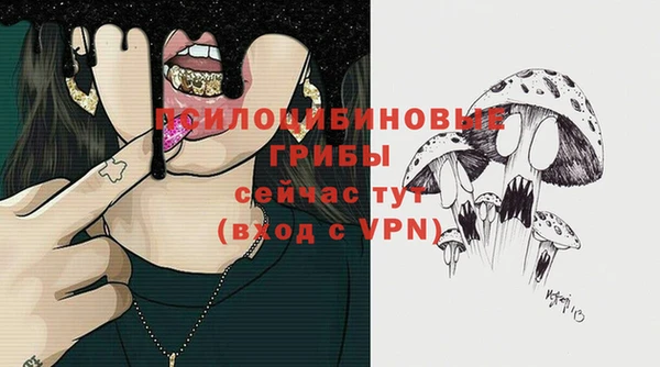 шишки Алзамай