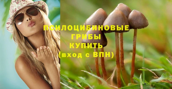 спиды Алексин