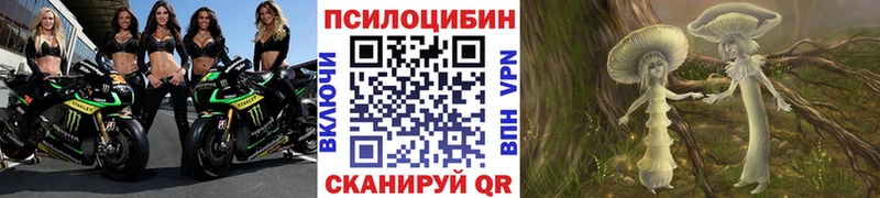 Псилоцибиновые грибы MAGIC MUSHROOMS Гвардейск